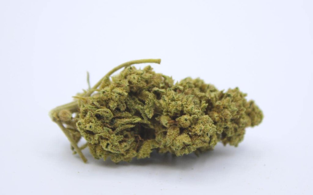 Flores de CBD con aroma a bosque, ricas en pineno