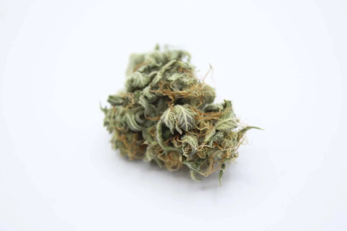 flores de cannabis de cada variedad