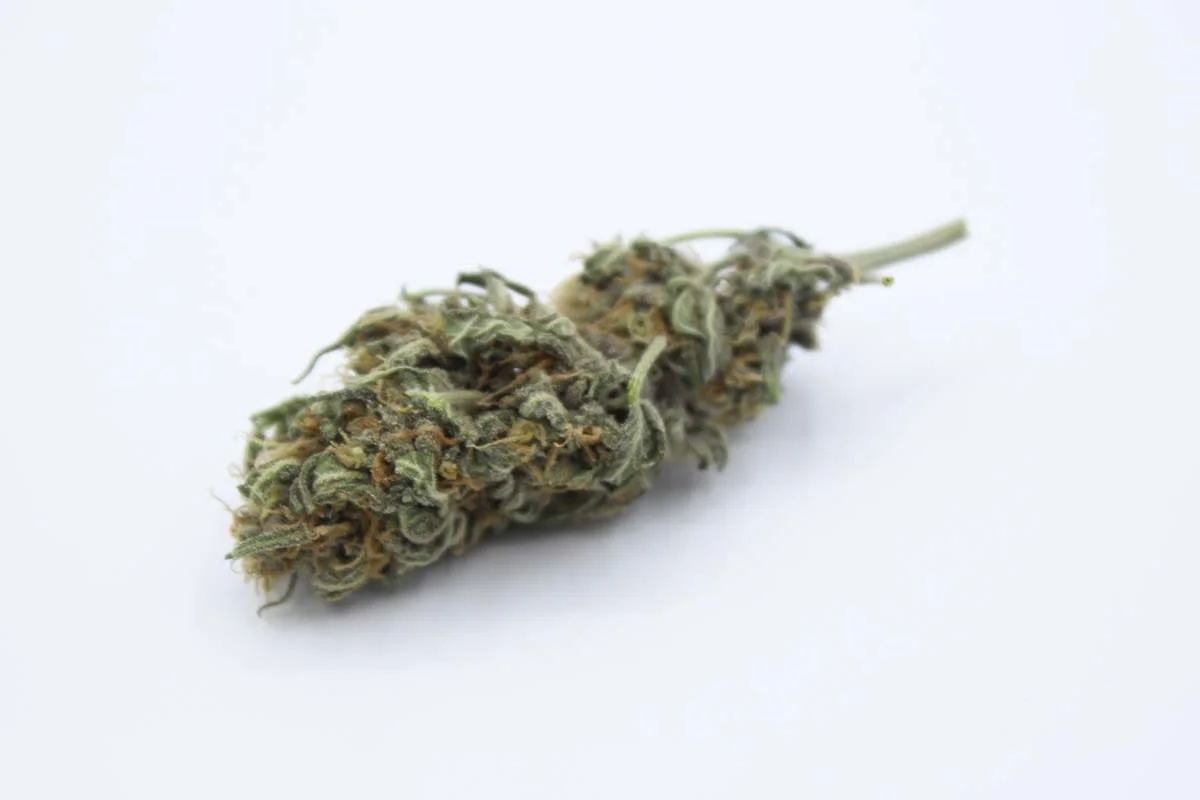 tipos de cannabis efectos