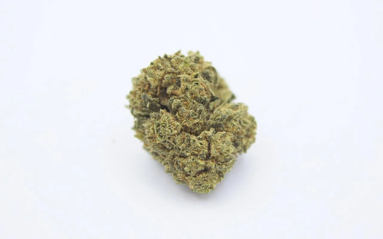 variedad cogollo con poco olor