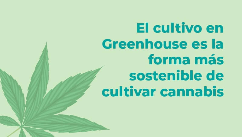 comprar cannabis light greenhouse