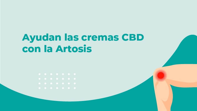 crema cannabis cbd artrosis