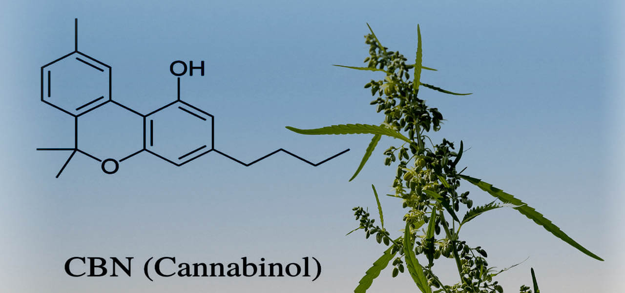 Existen otros cannabinoides como el cannabinol