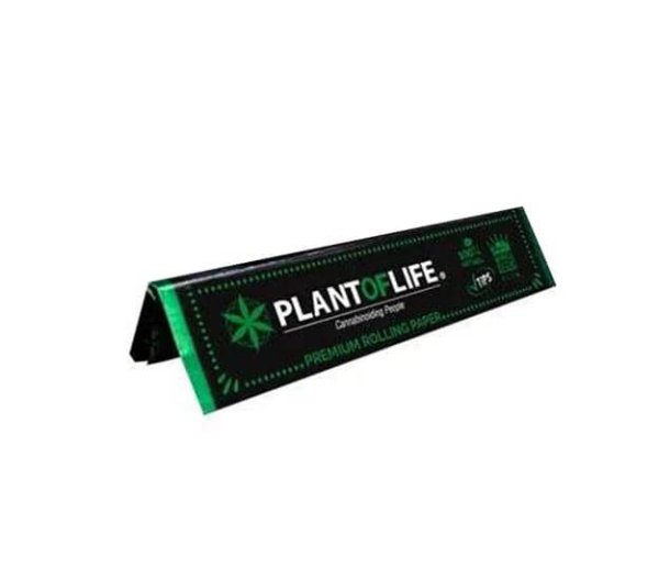 papel plant of life