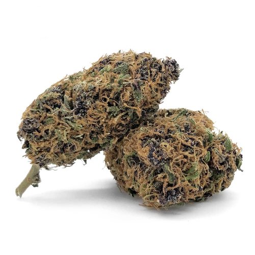 Blackberry Kush Natural Suit - Farma CBD