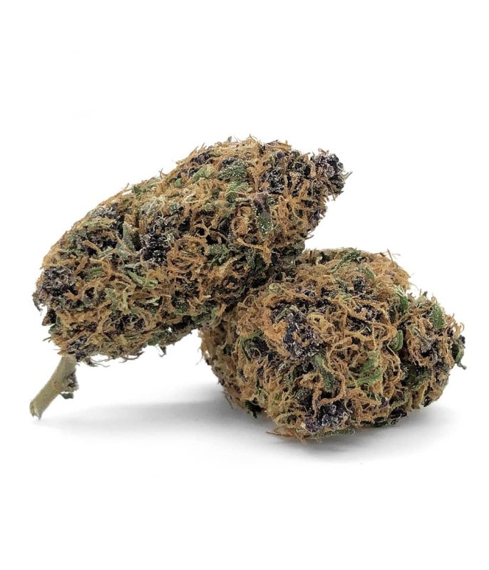 blackberry-kush-natural suit