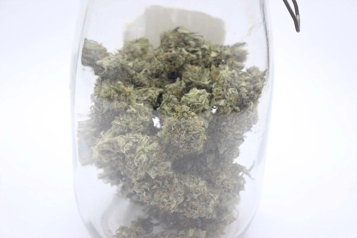 bote conservar cannabis