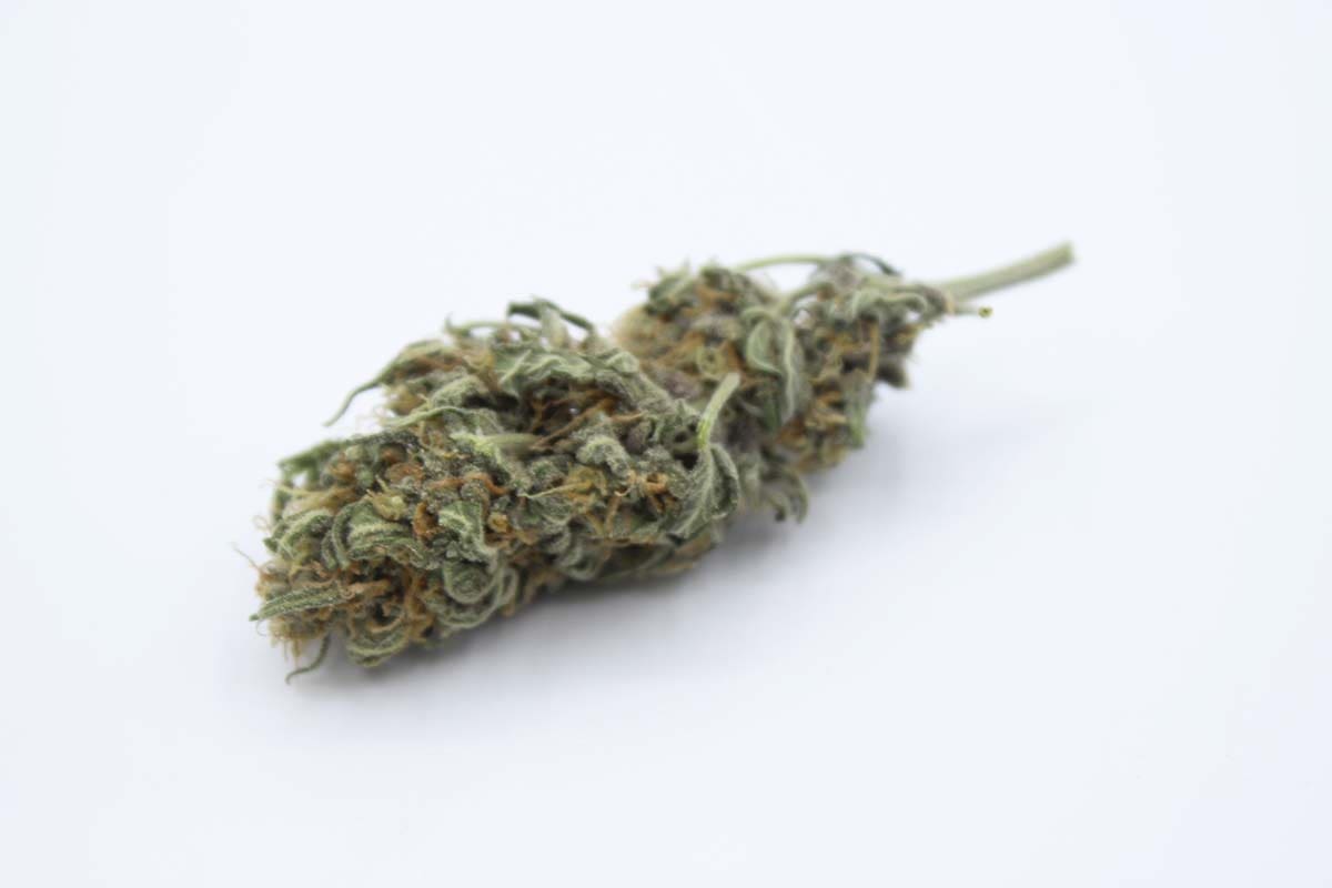 como conservar la marihuana fresc