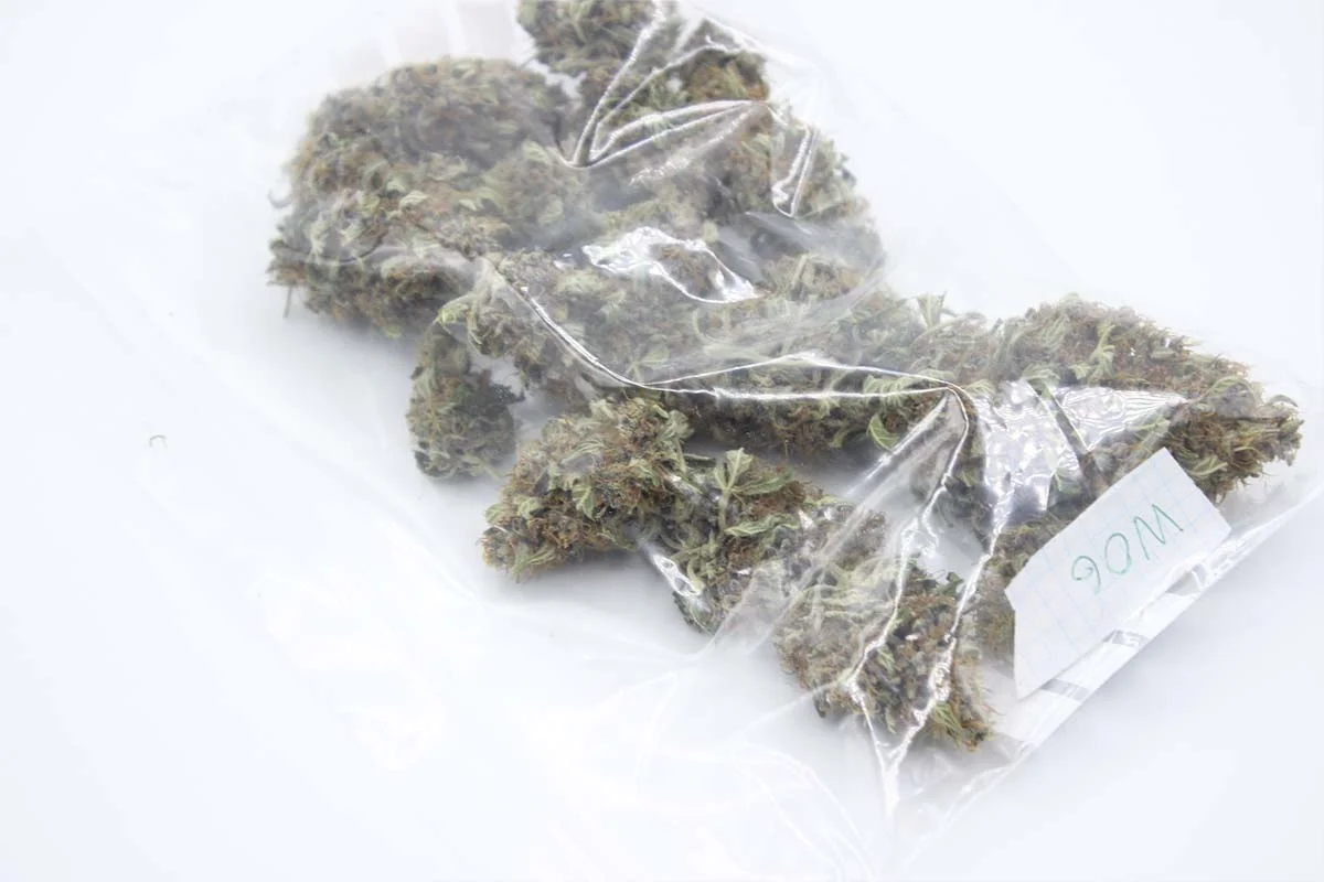 como conservar la marihuana
