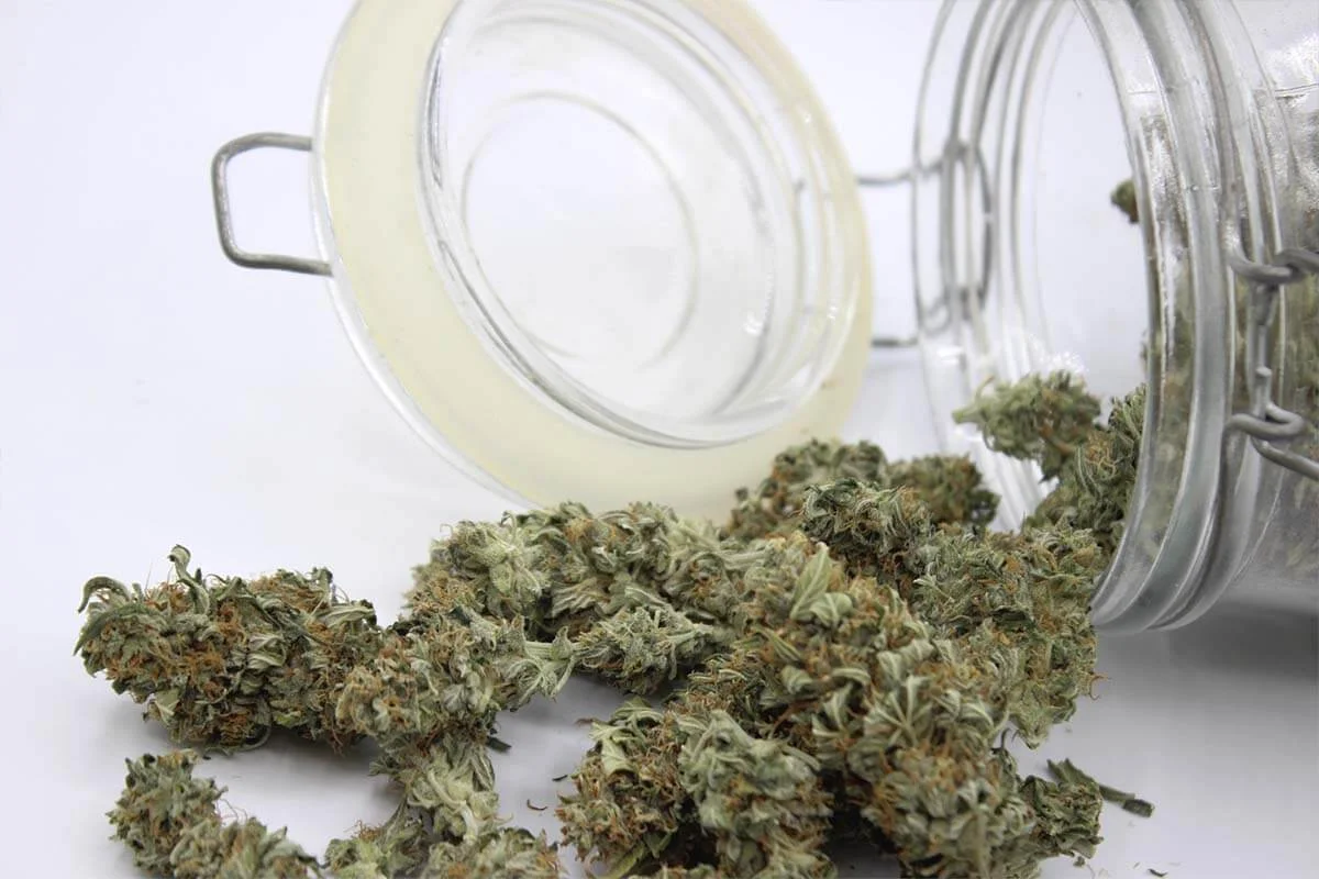 como conservar marihuana