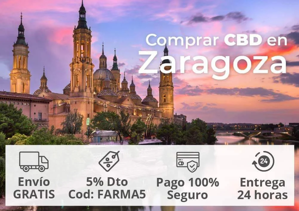 zaragoza cbd mejores tiendas