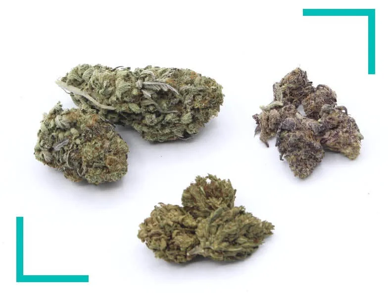 comprar cogollos cbd