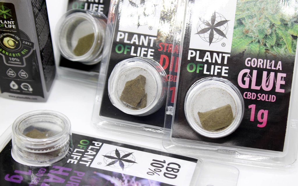 Resinas de CBD variadas: polen rubio, bubble hash, charas y super dry sobre fondo claro