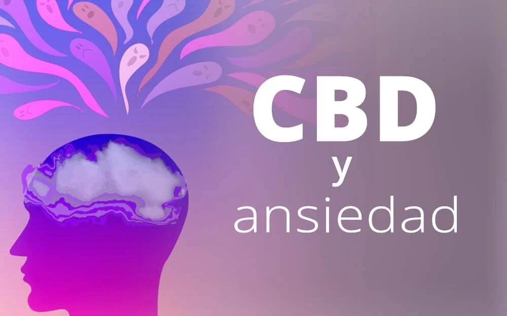 cbd ansiedad