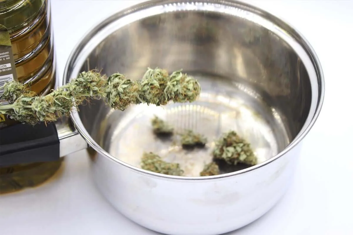 como hacer aceite cbd