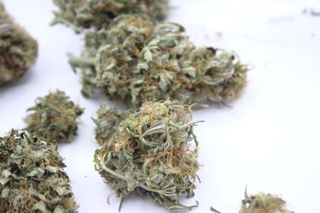flores cannabidiol exterior baratas