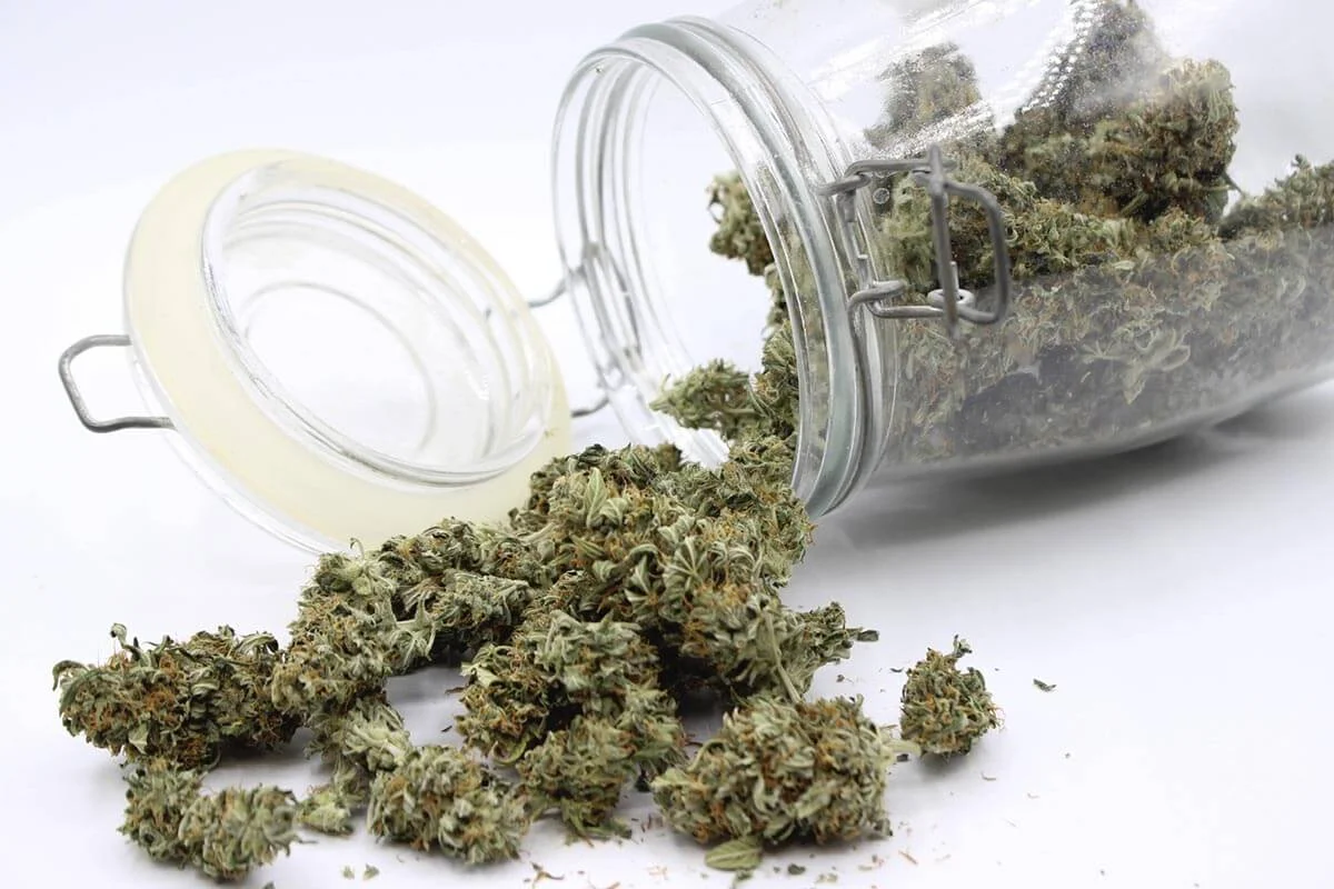 flores marihuana