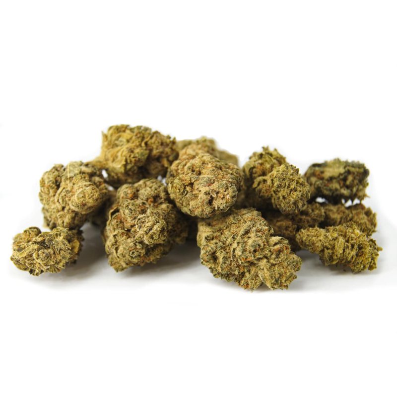 Grapefruit small buds Natural Suit