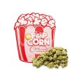 Pink Kush Popcorn Xuxes 10g