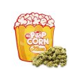 Sweet Mandarin Popcorn Xuxes 10g