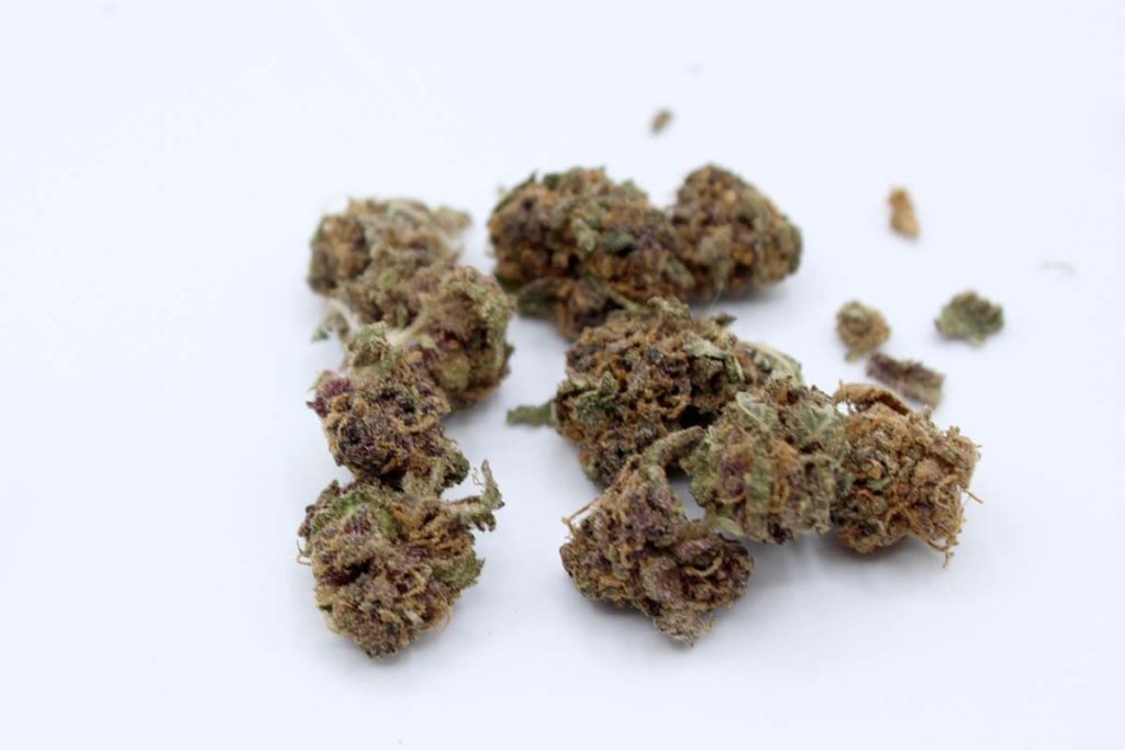 Cogollos CBD oscuros ricos en mirceno, aroma terroso
