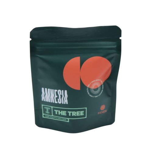 Amnesia Indoor The Tree