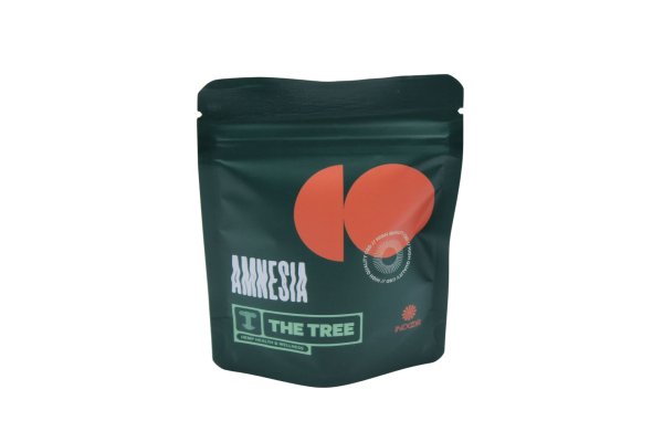 Amnesia Indoor The Tree