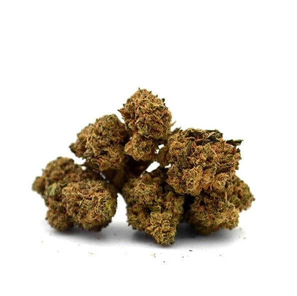 Amnesia Small Buds Mama kana