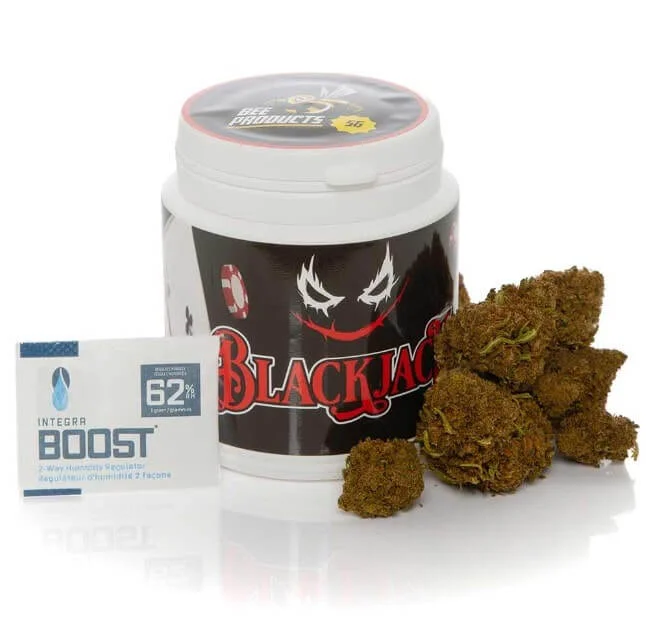 Blackjack CBD Bee