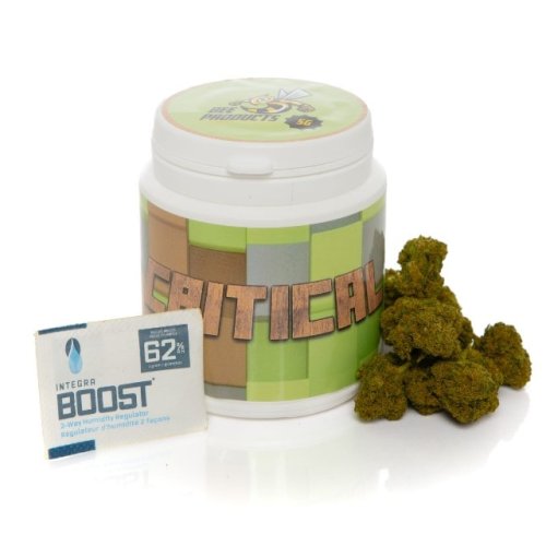 Critical CBD Bee Products