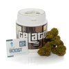 Gelato CBD Bee
