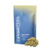 New York Cannactiva