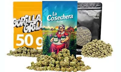 Bolsas Grandes Cbd - Farma CBD
