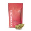 guava cannactiva flor