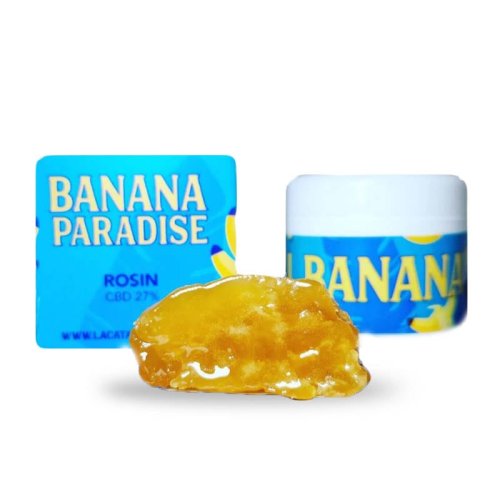 Banana Paradise La Catalana Rosin cbd