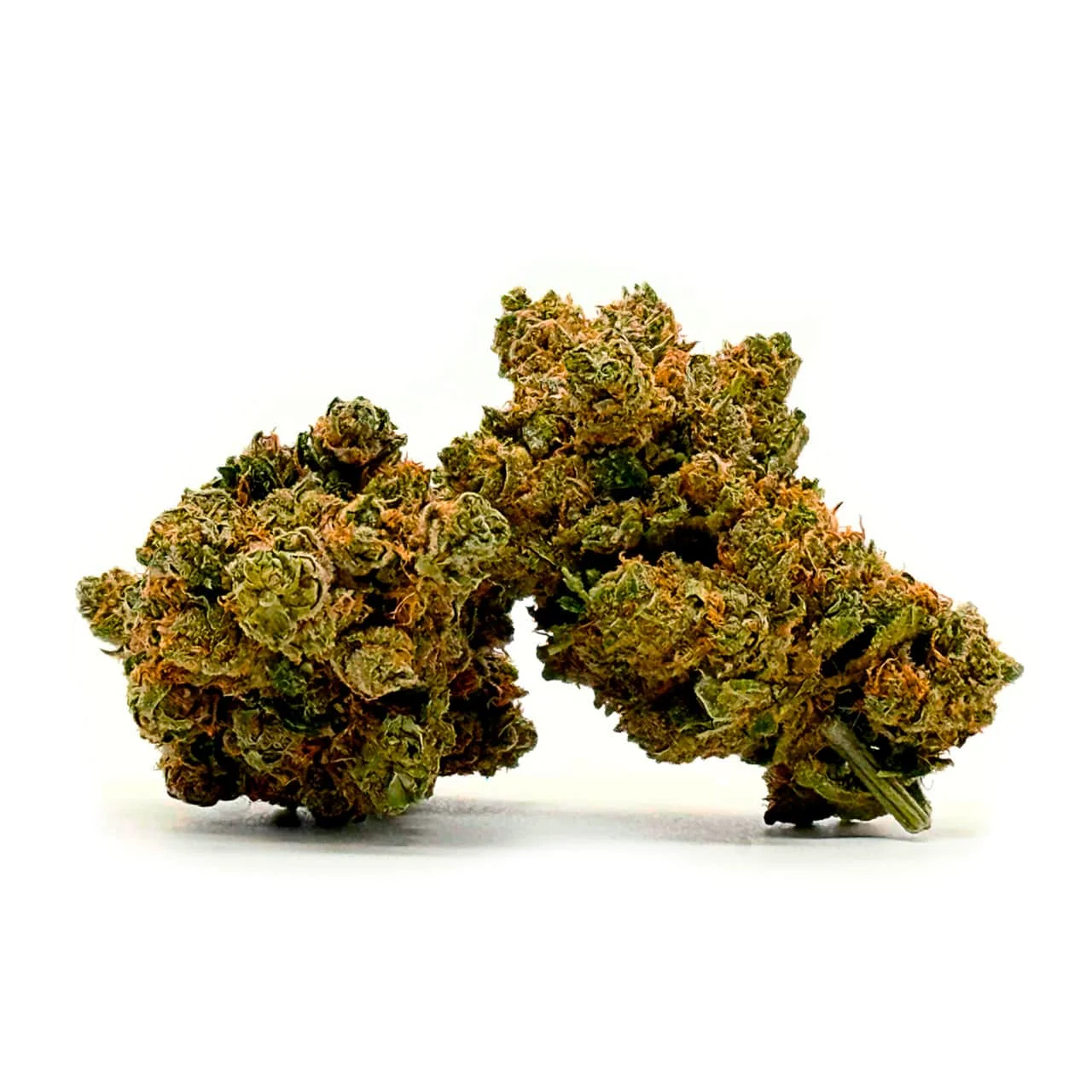 LEMON COOKIES CBD la catalana