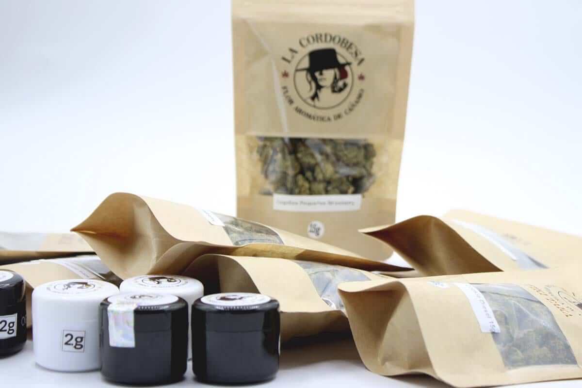 profesor cbd