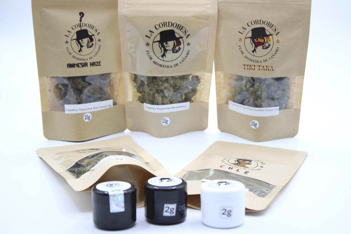 profesor cbd comprar