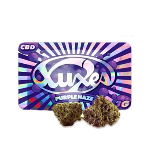 Xuxes Purple Haze