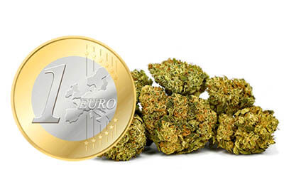 flores cbd 1 euro