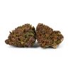 Purple Queen Natural Suit