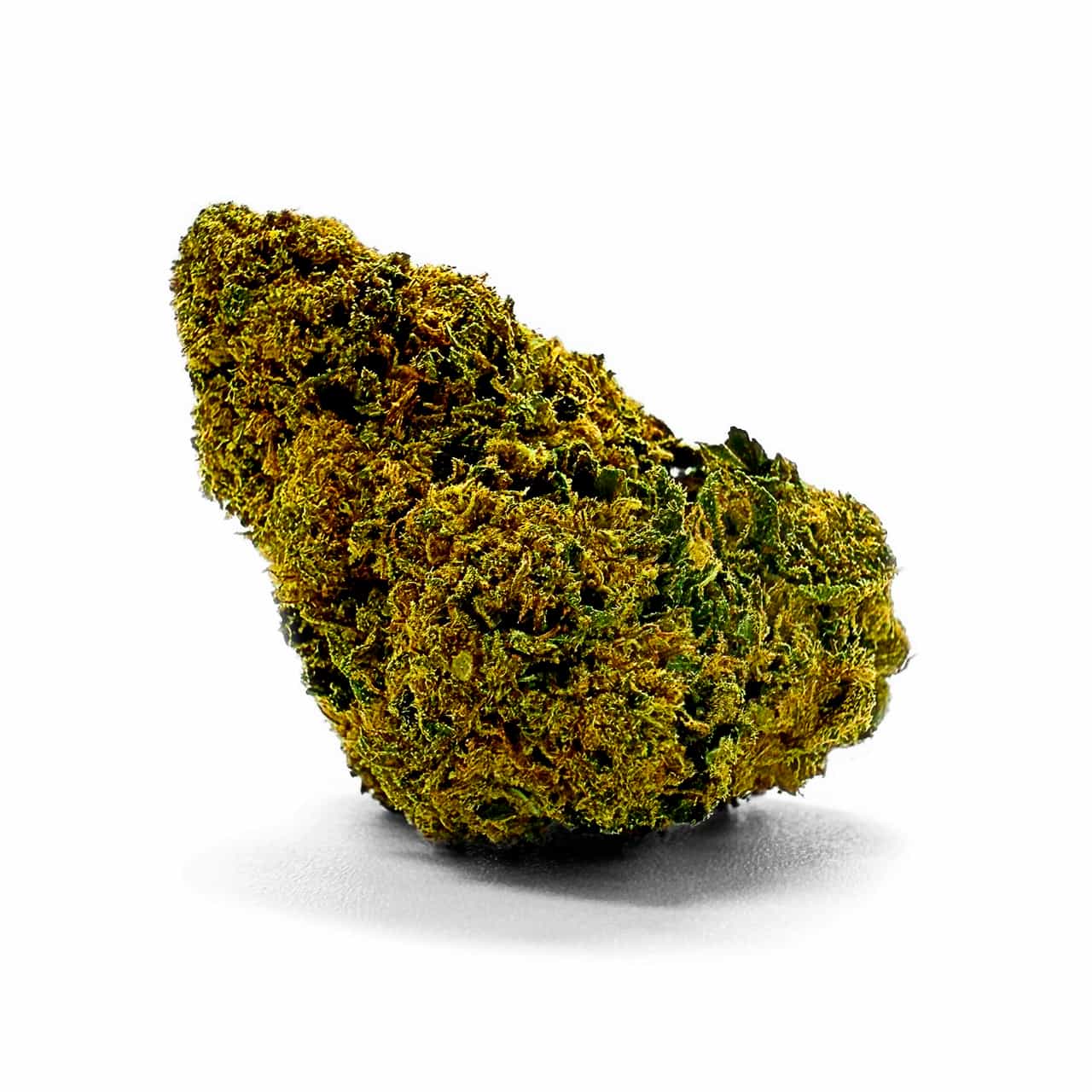 TROPICANA X MAZAR CBD la catalana