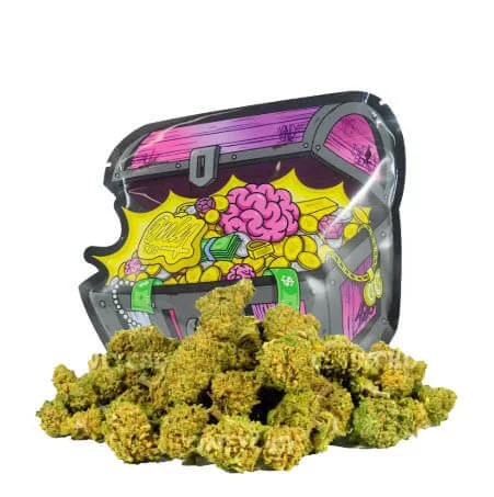 Brains OnlyCBD – cogollos pequeños con alta densidad y aroma equilibrado