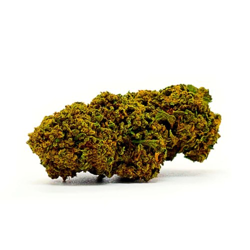 Brooklin Mango La Catalana CBD 5g