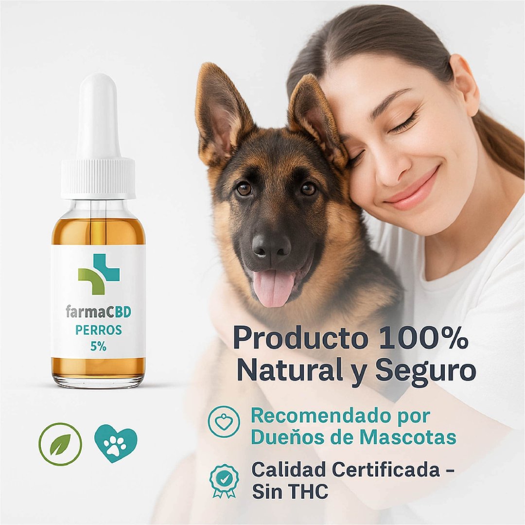 Recomendado por Dueños de Mascotas – Aceite CBD Perros