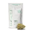 Flores de CBD TRINITY Cannactiva