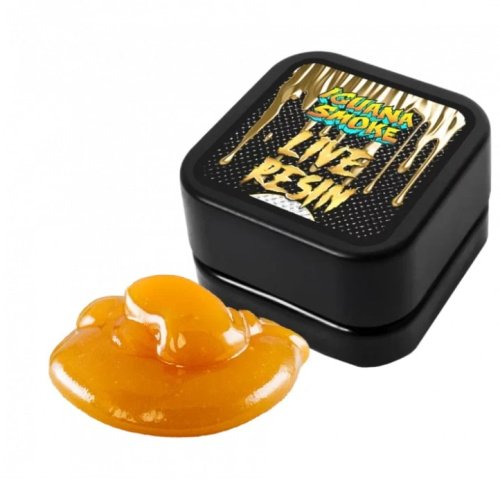 Live Resin CBD 84% con Live Terpenes Iguana Smoke 2g