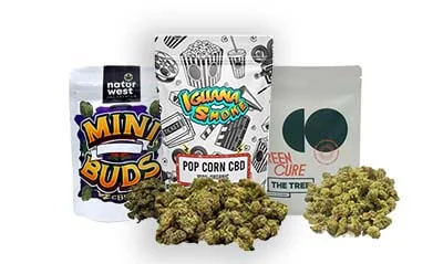 Bolsas 10g - Farma CBD