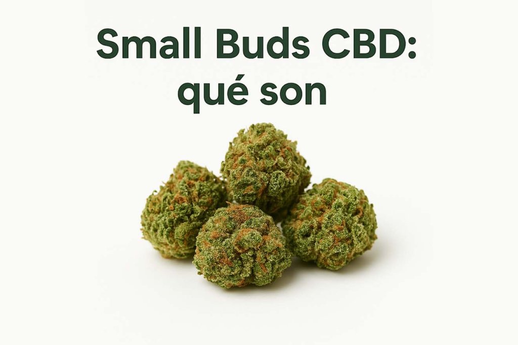 que son small buds