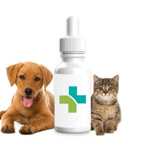 CBD Mascotas